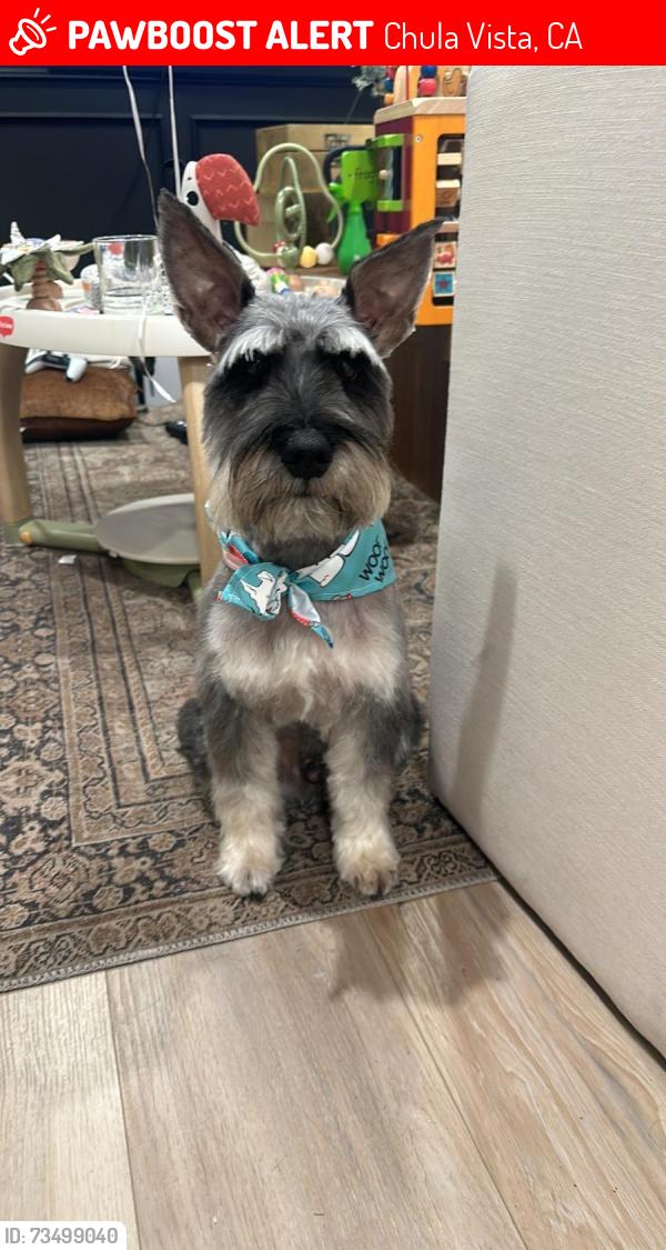 Lost Male Dog last seen Orange and third avenue, Chula Vista, CA 91911