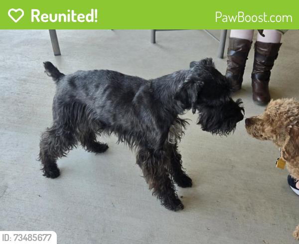 Reunited Male Dog last seen Highway 51 & 104th, Coweta, OK 74014