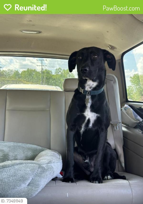Reunited Male Dog last seen Mint hill founders park, Charlotte, NC 28227