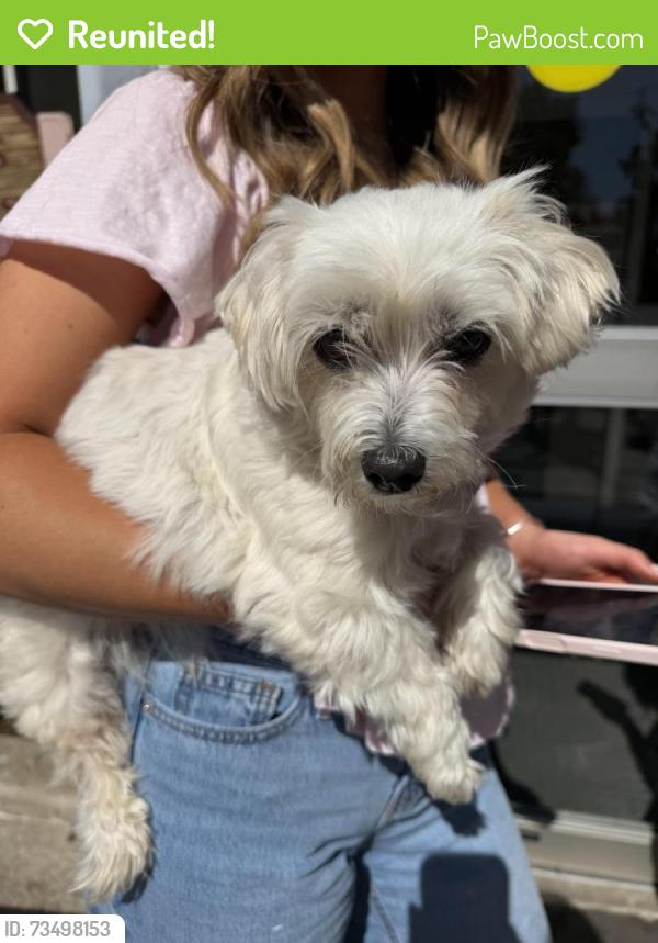 Reunited Unknown Dog last seen Hall pizza kitchen, Oklahoma City, OK 73114