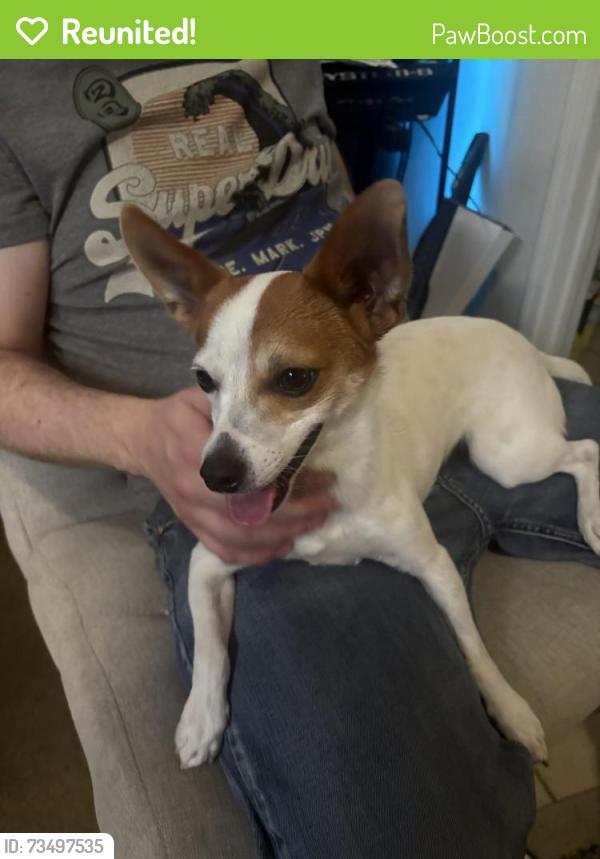 Reunited Male Dog last seen Skyline near park, San Diego, CA 92114