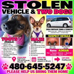 Lost Female Dog last seen Near ave and lincon rd, Phoenix, AZ 85015
