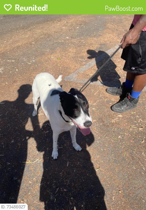 Reunited Female Dog last seen By fiesta Island,I-5 and Pacific highway, San Diego, CA 92110