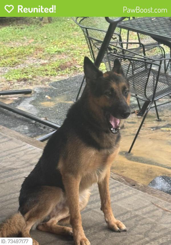 Reunited Male Dog last seen near adventist church, Durham, NC 27703