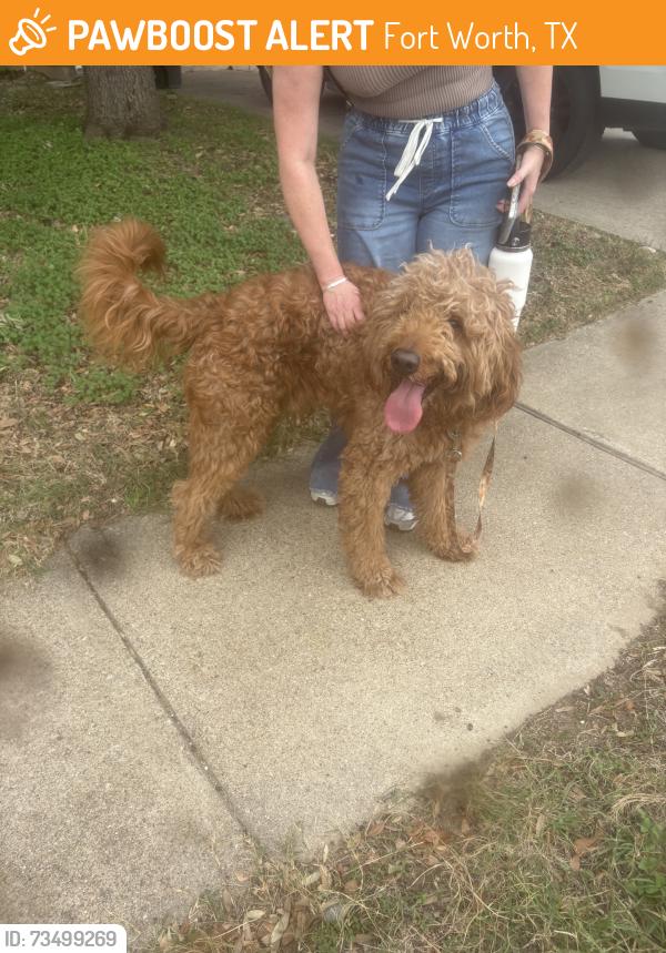 Found/Stray Unknown Dog last seen Arcadia Pk Dr/ Chisos Rim Ct, Fort Worth, TX 76244