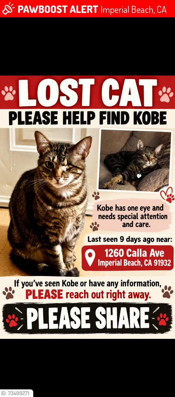 Lost Male Cat last seen 13st, Imperial Beach, CA 91932