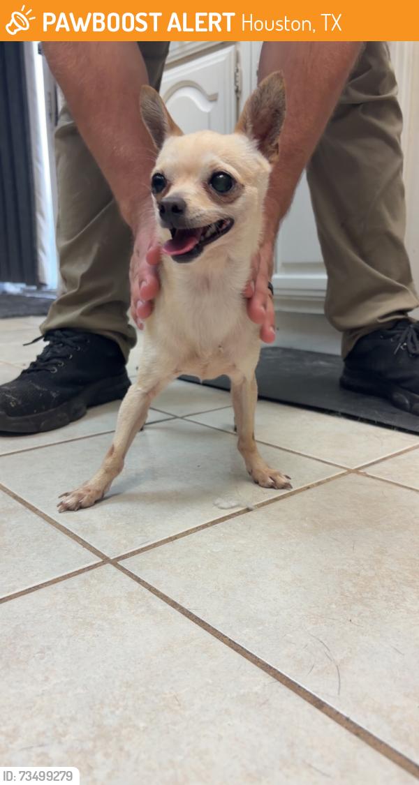 Found/Stray Male Dog last seen Keith harrow, Houston, TX 77084