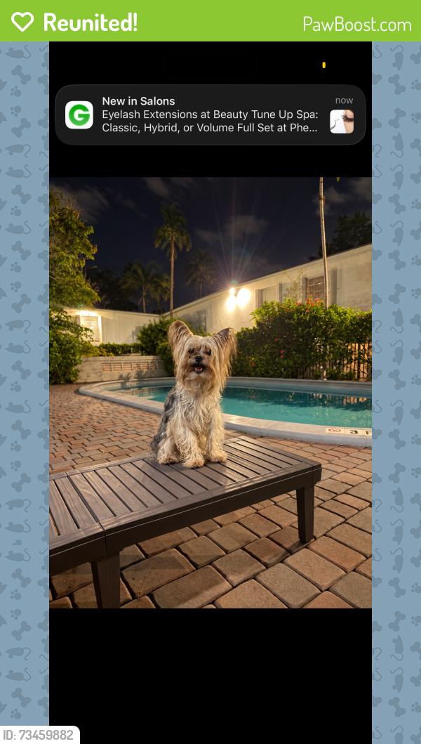 Reunited Female Dog last seen North 25th street, Tampa, FL 33605