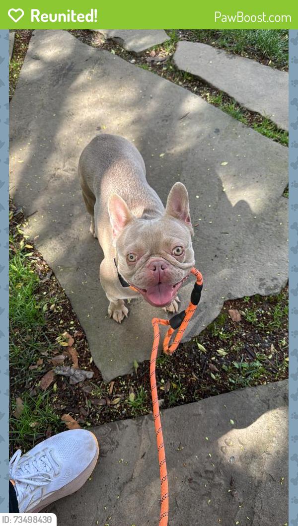 Reunited Female Dog last seen 1st and Rhode Island Ave NW, Washington, DC 20001