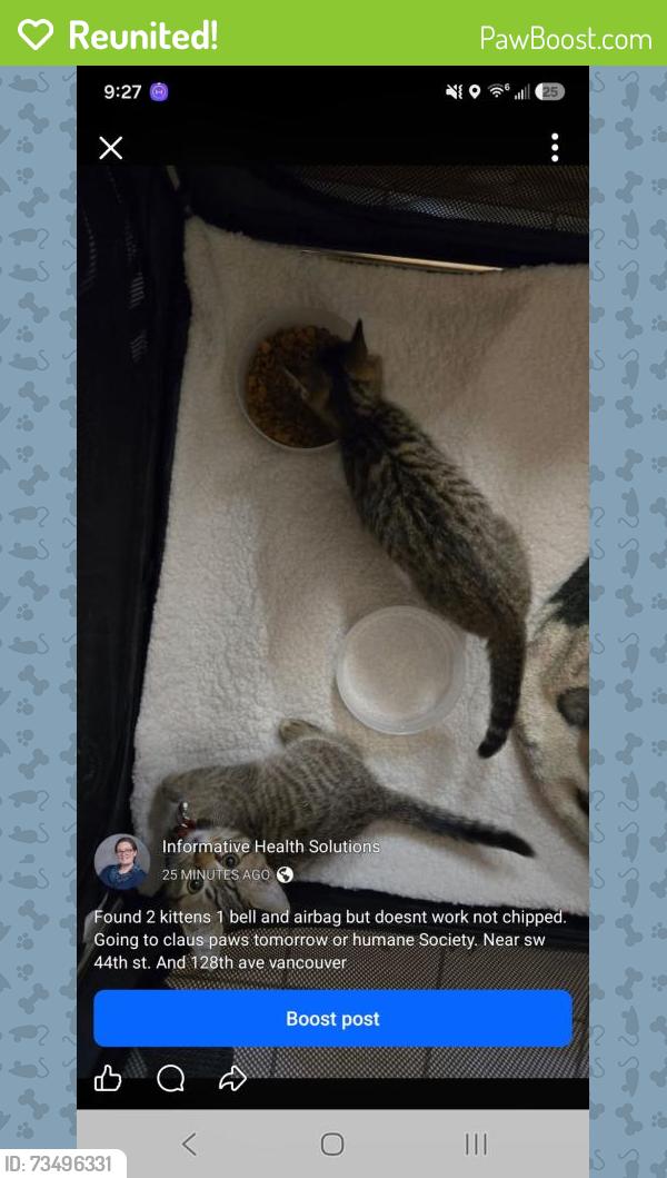 Reunited Unknown Cat last seen Ne 44th St and ne 128th ave, Vancouver, WA 98682