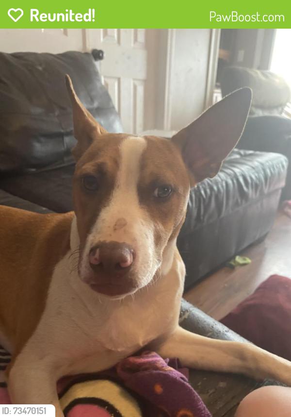 Reunited Male Dog last seen Jason drive Milton Florida, Milton, FL 32570