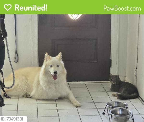 Reunited Male Dog last seen Heather and Downing, Angleton, TX 77515