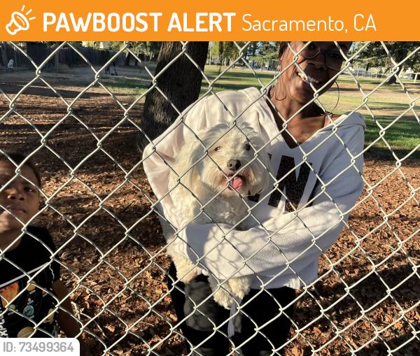 Found/Stray Female Dog last seen Near Palmer hse Dr, Sacramento, CA 95828