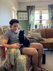 Lost Male Cat last seen Near Wiltz Street, Rayne, LA 70578