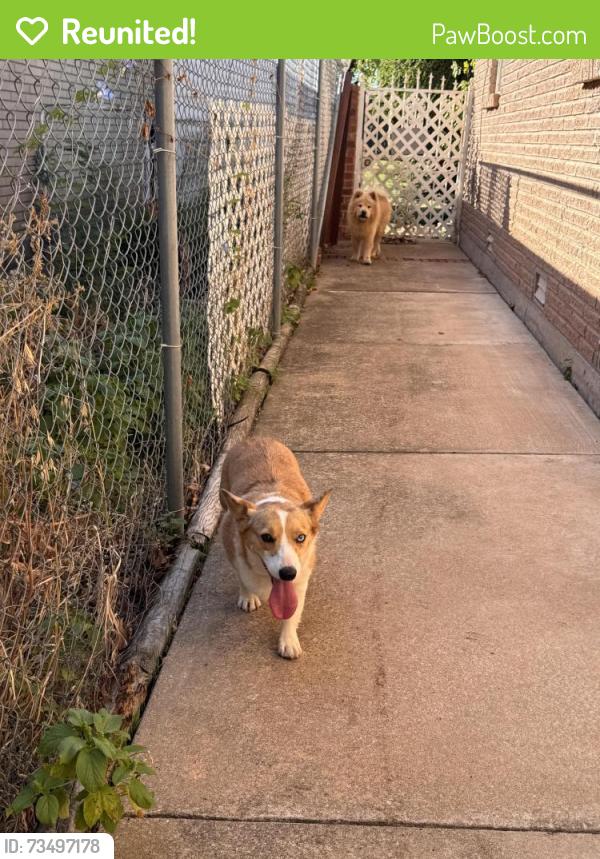 Reunited Unknown Dog last seen Prairie Queen Elementary School, Oklahoma City, OK 73159