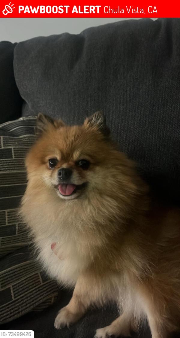 Lost Female Dog last seen Near fourth ave, Chula Vista, CA 91911