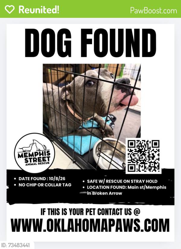 Reunited Unknown Dog last seen Near W Memphis St, Broken Arrow, OK 74012, USA, Broken Arrow, OK 74012