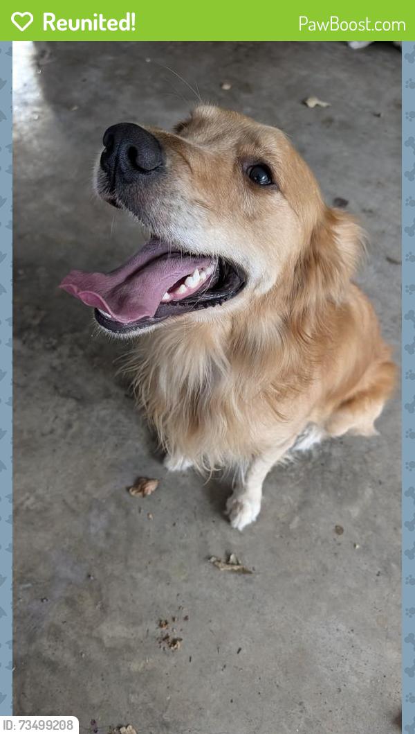 Reunited Male Dog last seen Ridgewood and Fairway, Conroe, TX 77304