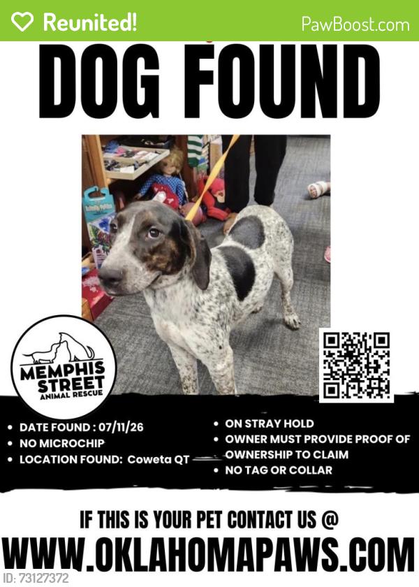 Reunited Unknown Dog last seen Near OK-51, Coweta, OK 74429, USA, Coweta, OK 74429