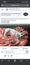 Reunited Male Dog last seen Donald and random, Carrollton, TX 75006