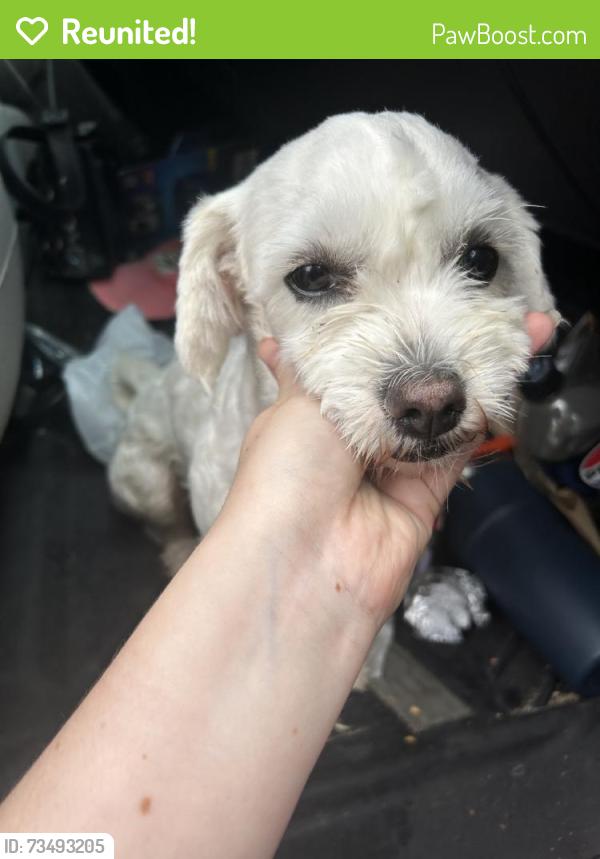 Reunited Male Dog last seen Near Independence Dr, Raeford, NC 28376, USA, Raeford, NC 28376