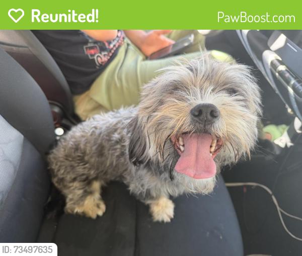 Reunited Unknown Dog last seen Kirtland Airforce Base, Albuquerque, NM 87123