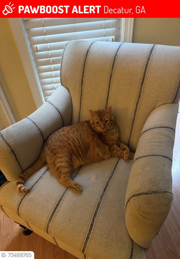 Lost Male Cat last seen Oak Grove and LaVista, Decatur, GA 30033