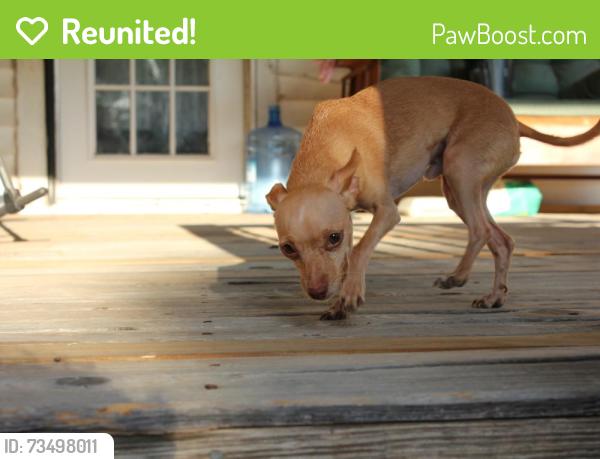 Reunited Male Dog last seen Sandra and Mitchell, Midwest City, OK 73110
