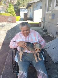 Lost Female Dog last seen Pendleton, Sacramento, CA 95814