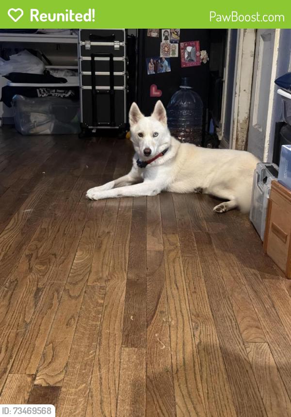Reunited Female Dog last seen Near telephone rd, Houston, TX 77075