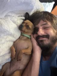 Reunited Female Dog last seen Near the garden inn & suites in west Rome !, Rome, GA 30165