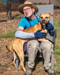 Shelter Stray Male Dog last seen , , GA, 3280 Chamblee Dunwoody Rd, Chamblee, GA 30341, USA