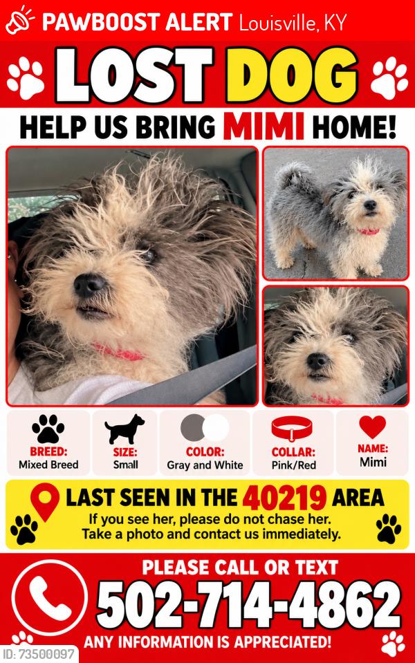 Lost Female Dog last seen Outer loop and shepherdsville rd, Louisville, KY 40219
