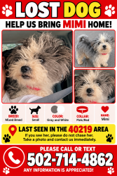Lost Female Dog last seen Outer loop and shepherdsville rd, Louisville, KY 40219