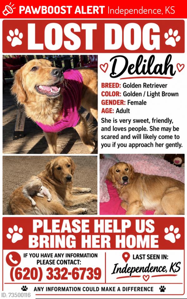 Lost Female Dog last seen Beech st and 5th st, Independence, KS 67301