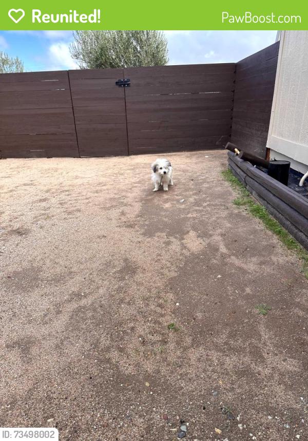 Reunited Unknown Dog last seen Kingston Avenue, Hesperia, CA 92345