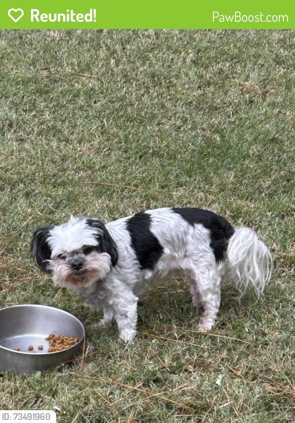 Reunited Female Dog last seen Airport Rd near Randy Drive and Poverty Creek, Okaloosa County, FL 32539