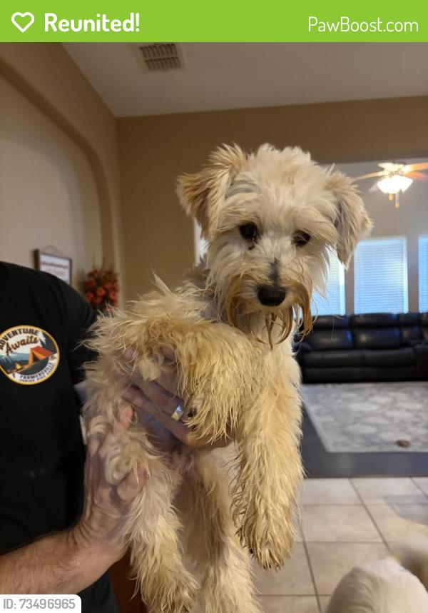 Reunited Unknown Dog last seen The Shores neighborhood, Rockwall, TX 75087