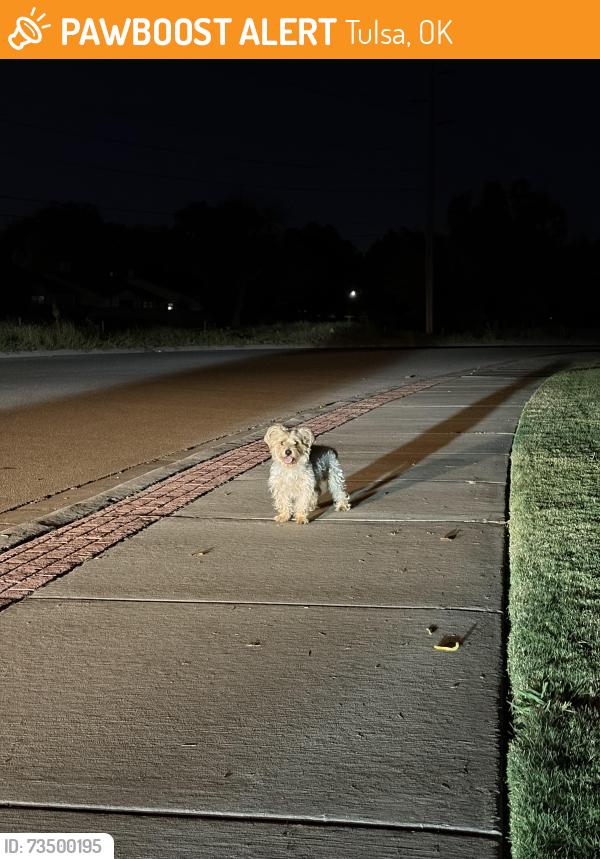 Found/Stray Unknown Dog last seen S 89th E Ave & E 64th St S, Tulsa, OK 74133