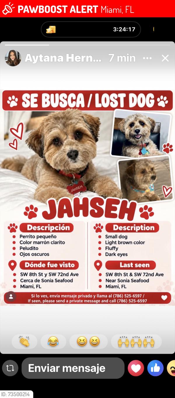Lost Male Dog last seen En Sonia seafood Miami calle 8 sw, Miami, FL 33144