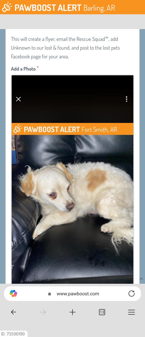 Found/Stray Male Dog last seen Albert pike, north O, Fort Smith, AR 72901