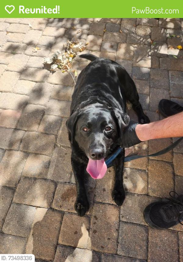 Reunited Female Dog last seen Mcmurdo gulch ct and cherry creek, Parker, CO 80134
