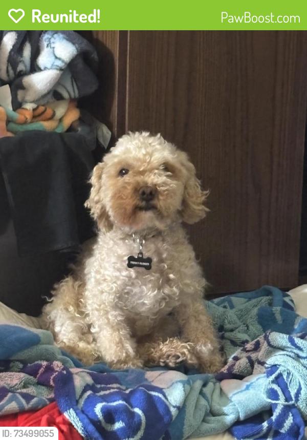 Reunited Male Dog last seen Near Sepal St, Selma, NC 27576, USA, Selma, NC 27576