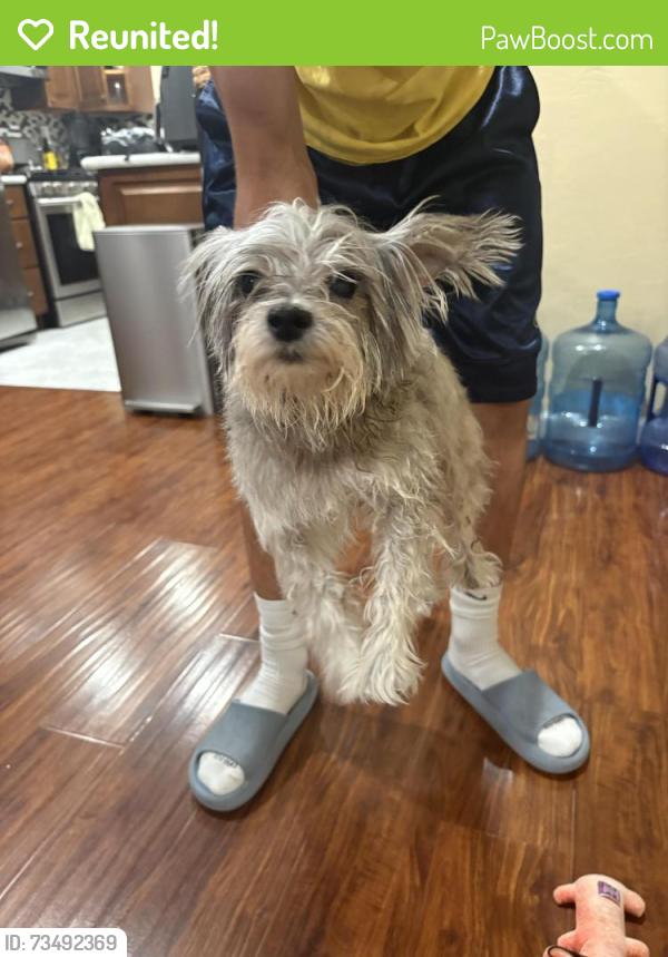 Reunited Female Dog last seen Heather dr, Fairfield, CA 94533
