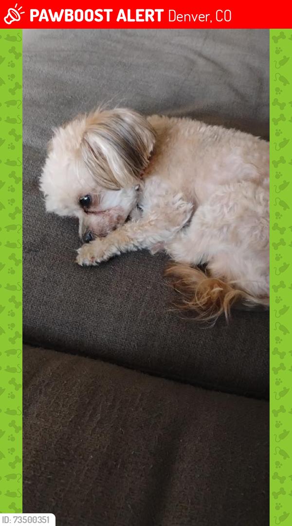 Lost Male Dog last seen Green valley ranch and argonn, Denver, CO 80249