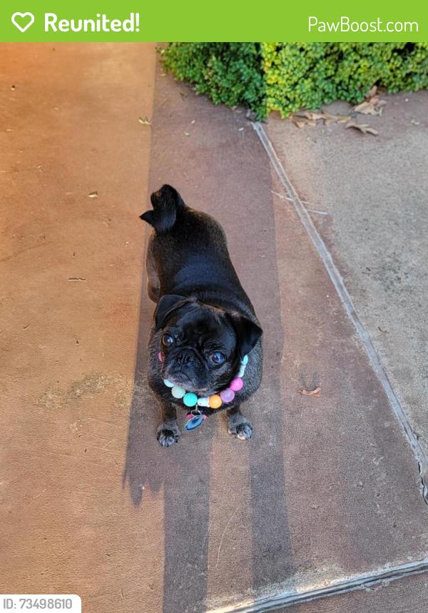 Reunited Female Dog last seen Near Kiley Way, Edmond, OK 73034