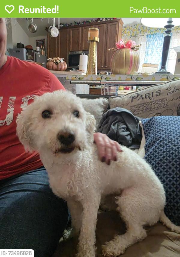 Reunited Male Dog last seen Crowley Rd and Shane Ave, Fort Worth, TX 76134