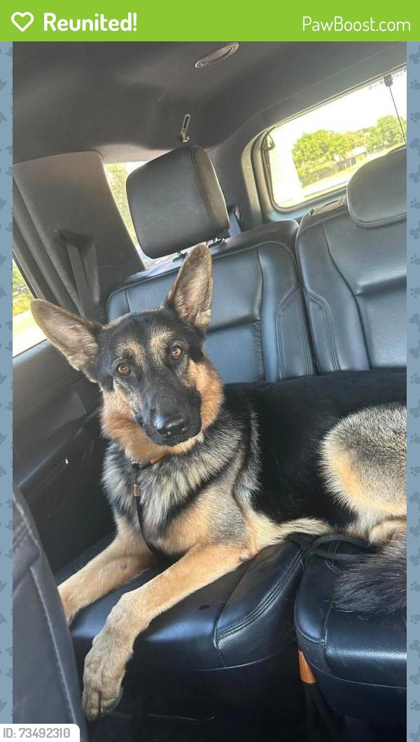 Reunited Male Dog last seen Middlesex Rd, Nashua, NH 03060