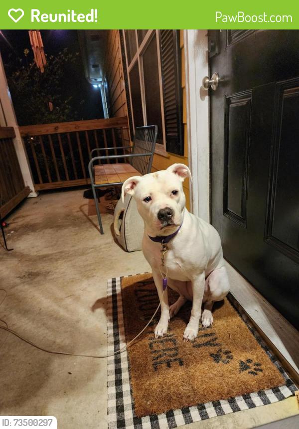 Reunited Female Dog last seen Hwy 138/Cutters Mill subdivision, Stockbridge, GA 30281