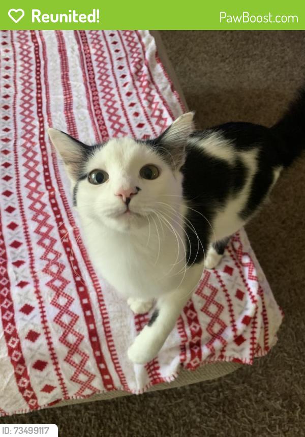 Reunited Female Cat last seen Devonaire DR & The Finish-line Bar, Aledo, TX 76008
